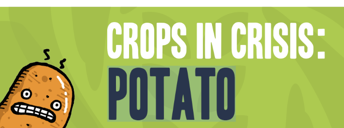 Crops in Crisis: Potato